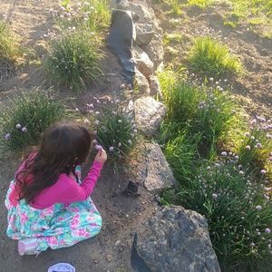 Meet your Posher, Rosanna